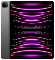 Apple iPad Pro 2022 Wi-Fi 11" M2 128GB серый космос (MNXD3) - apple-luxury.ru