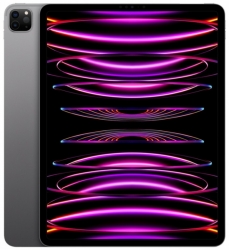 Apple iPad Pro 2022 Wi-Fi 11" M2 256GB серый космос (MNXF3) - apple-luxury.ru