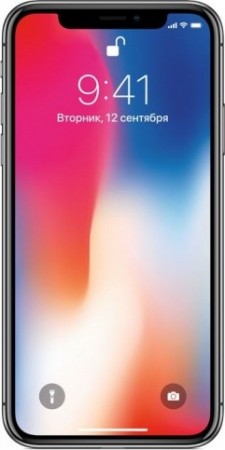 Apple iPhone X 64GB Space Gray (серый космос) - apple-luxury.ru